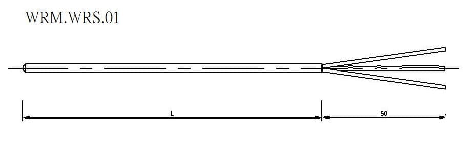 電阻式溫度計（RTD）